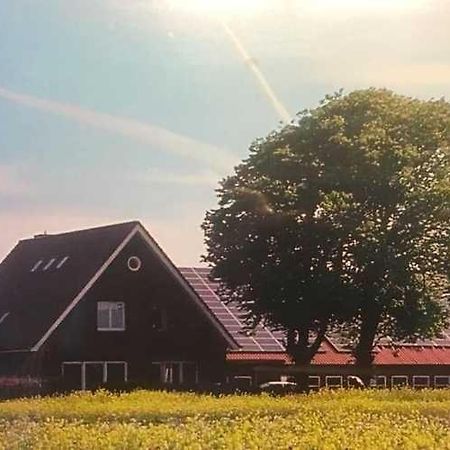 Higgen Adamla Appartement Stedesdorf Buitenkant foto