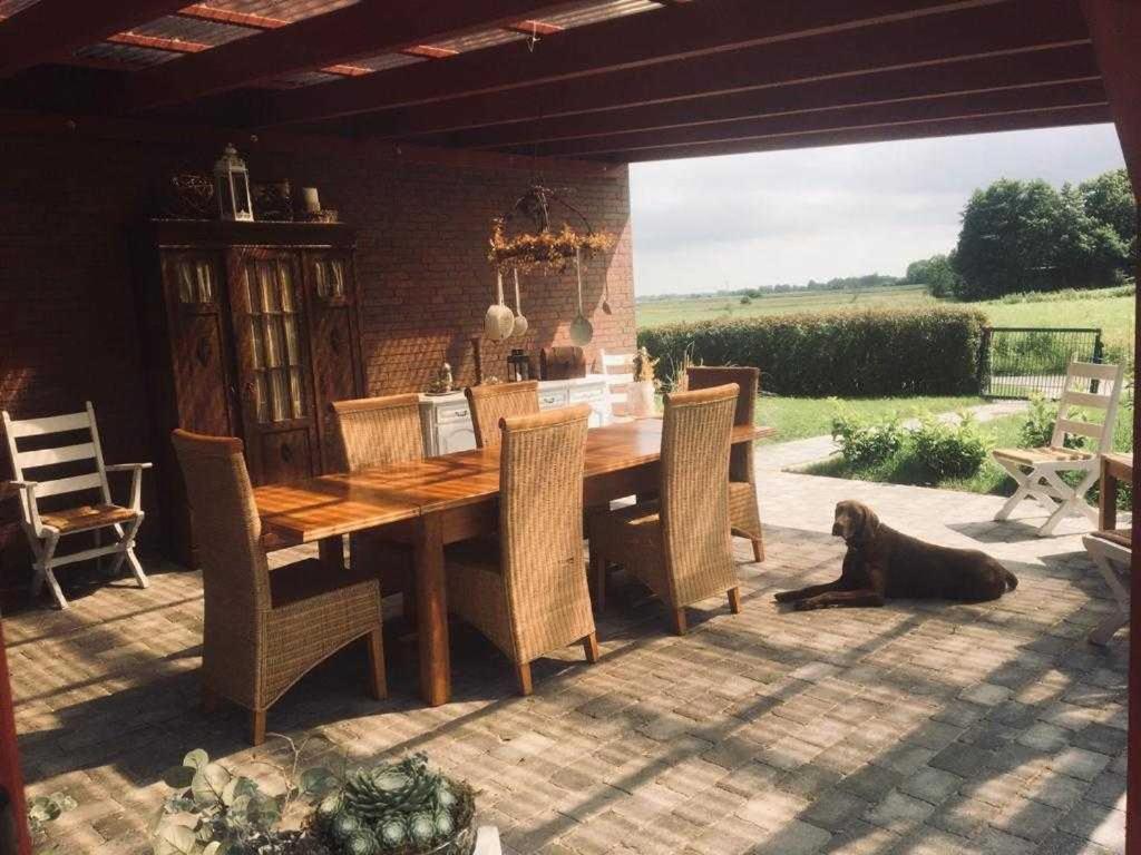 Higgen Adamla Appartement Stedesdorf Buitenkant foto